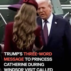 Donald Trump leaves Kate Middleton stunned with 3-word remark Donald Trump leaves Kate Middleton stunned with 3-word remark