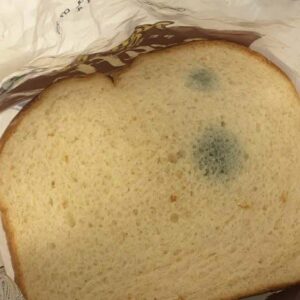 Is Stale Bread Safe to Eat? You Need to Know