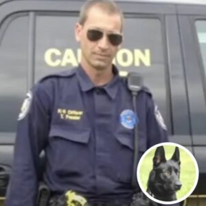 Brutal attack on officer: Men leave him critically injured, K-9 deployed from patrol car