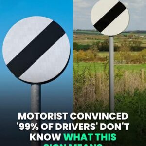 Motorist Convinced ‘99% Of Drivers’ Do