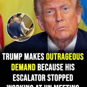 Donald Trump calls for investigation over