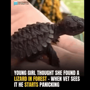RecordA Young Girl Thought She Found