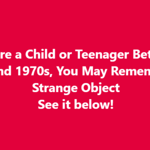 If You Were a Child or Teenager Between The 1950s And 1970s, You May Remember This Strange Object See it below! If You Were a Child or Teenager Between The 1950s And 1970s, You May Remember This Strange Object See it below!