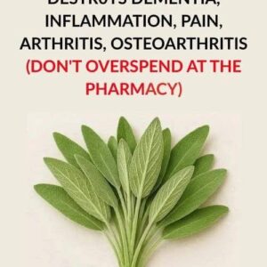 Destroys Dementia, Inflammation, Pain Destroys Dementia, Inflammation, Pain
