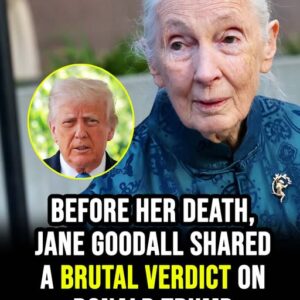 Before her death, Jane Goodall shared her true feelings about Donald Trump