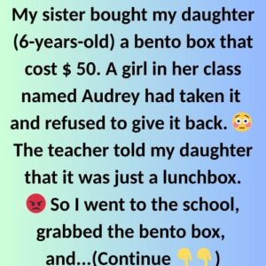 WHEN A LUNCHBOX BECAME A LESSON IN STANDING UP FOR MY CHILD