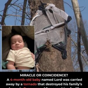 Tornado Snatches Baby From Crib — What Followed Left Everyone Speechless