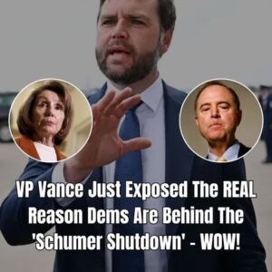 VP Vance Takes No Democrat Prisoners In Epic Roast Over Govt. Shutdown