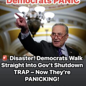 Democrats Run Headlong Into The Govt. Shutdown Trap And Instantly Regret It