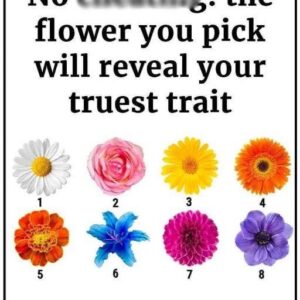 The Flower You Pick Will Reveal Your Truest Trait The Flower You Pick Will Reveal Your Truest Trait
