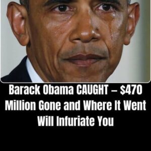 Obama Presidential Center’s 0 Million Promise to Protect Taxpayers Appears Largely Unfulfilled Obama Presidential Center’s 0 Million Promise to Protect Taxpayers Appears Largely Unfulfilled