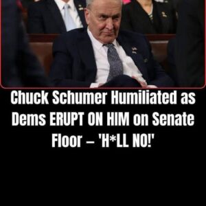 Democratic Rift Deepens as Schumer Faces Internal Backlash Over Shutdown Strategy