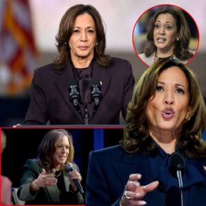 Kamala Harris says ‘it’s f—– up’ what RFK Jr’s HHS is doing to America Kamala Harris says ‘it’s f—– up’ what RFK Jr’s HHS is doing to America