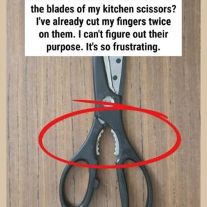 What’s the Purpose of the Strange Serrated Section on Kitchen Scissors? What’s the Purpose of the Strange Serrated Section on Kitchen Scissors?