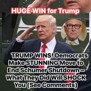 Here We Go: Democrats Scrambling For Way to End ‘Schumer Shutdown’ Here We Go: Democrats Scrambling For Way to End ‘Schumer Shutdown’