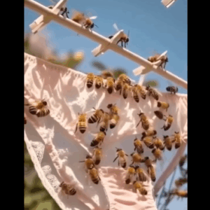 Reasons Bees Are Lured to Outdoor L Reasons Bees Are Lured to Outdoor L