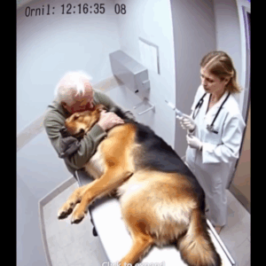 The dog shared one final embrace with his