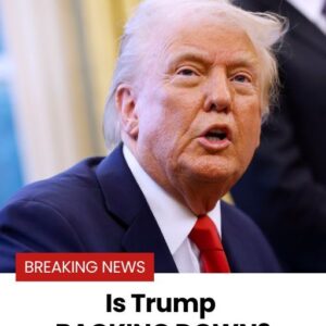 Trump Agrees to Pause Tariffs on Canada and Mexico, But China Not Spared Trump Agrees to Pause Tariffs on Canada and Mexico, But China Not Spared