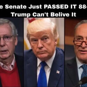 Senate Approves Bill 88-2 — Even Trump Was Surprised!