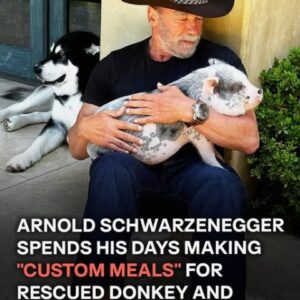 At 78, Arnold Schwarzenegger Enjoys Quiet Days at Home in L.A. With His Partner and Six Pets