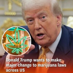Federal Drug Policy Discussions Signal Potential Shift in Cannabis Classification