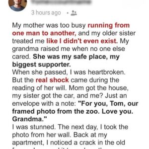 She Left Me a Simple Photo — But It Told a Story I Never Knew