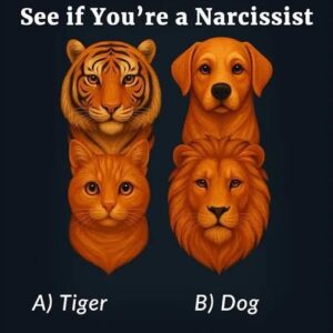 Choose the Odd Animal: What It Reveals About Your Confidence and Empathy