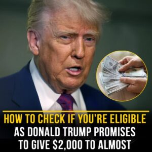 Donald Trump promises to give ,000 to almost ‘everyone’ in US – who will receive the payout