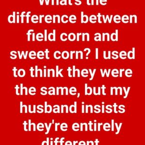 Difference Between Field Corn A