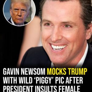 Gavin Newsom mocks Trump with wild ‘piggy’ pic after president insults reporter