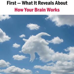 First Thing You Notice: Turtle or Camel — Discover What It Reveals About Your Mind