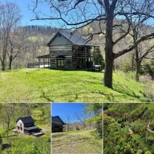 Charming Cabin for Sale o