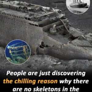 No bodies were ever recovered from the wreck – check comments to see why