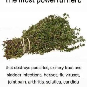 THE MOST POTENT HERB THAT DESTROYS PARASITES
