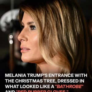 Melania Trump Embraces Holiday Spirit While Receiving White House Christmas Tree in Style