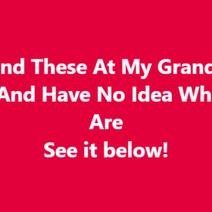 I Found These At My Grandma’s House And Have No Idea What They Are See it below!