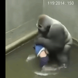 Inside the Debate: What Really