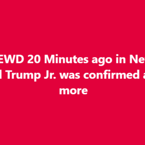20 Minutes ago in New York, Donald Trump Jr. was confirmed as…See more