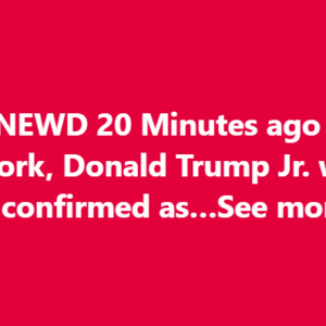 20 Minutes ago in New York, Donald Trump Jr. was confirmed as…See more