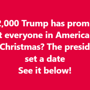 Will ,000 Trump has promised to almost everyone