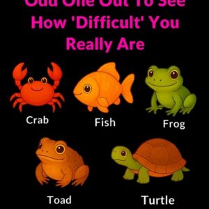 Pick the Odd One Out — What You Choose Says More Than You Think!