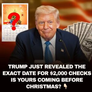 Trump Just Revealed the “Exact Date” for ,000 Checks — but With No Clear Process, Eligibility Rules, or Approved Plan, Americans Are Left Wondering Whether the Tariff-Funded Payments Will Truly Arrive Before Christmas or If the Promise Is More Political Buzz Than Reality