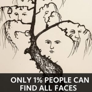 99% Fail This Test — Can You Find All the Faces in the Picture?