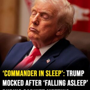 Donald Trump branded ‘commander in sleep’ after appearing to fall asleep in cabinet meeting