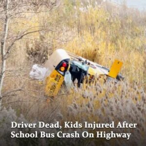 A school bus carrying 32 children crashed