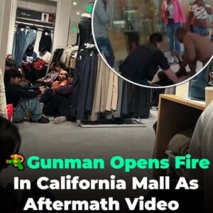 California Mall Erupts in Gunfire as Shoppers Flee — The Aftermath No One Saw Coming