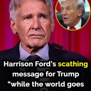 Harrison Ford Delivers Harsh Criticism of Donald Trump