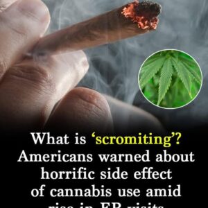 What is ‘scromiting’? US citizens warned