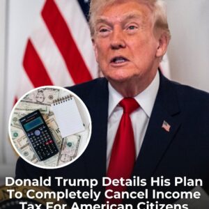 Donald Trump details his plan to completely cancel income tax for American citizens