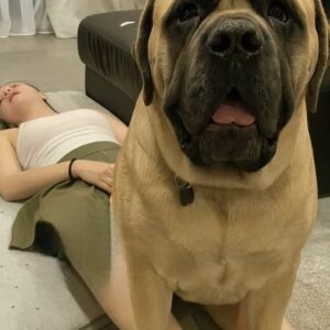 J0ven was hospitalized after being penetrat… See more